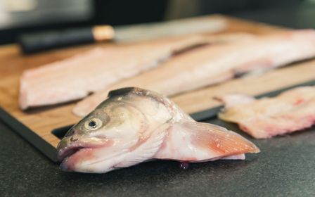 7hauben kochen