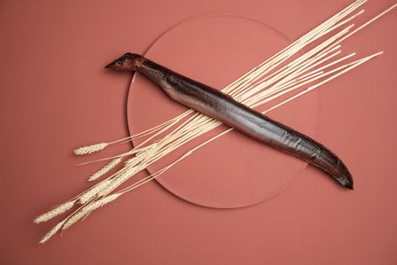 7hauben kochen