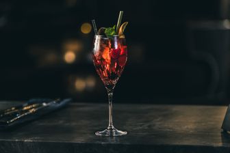 Martini Fiero Tonic
