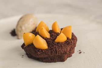 Kaffee-Zitronen-Schokoladentarte mit Kaffeeeis