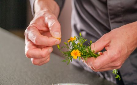 7hauben kochen