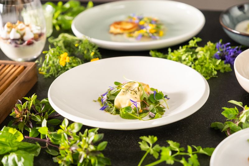 Feta im Strudelteig mit Salsa Verde und Rucola-Sauerklee-Salat