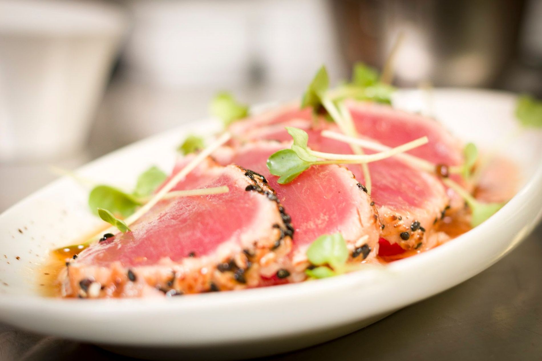 Tuna Tataki so muss Thunfisch Rezept von 7Hauben