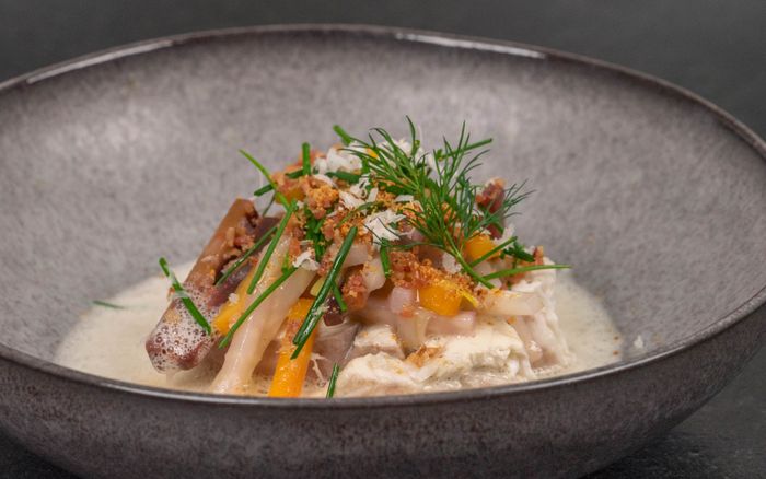 Fünf feine Fischgerichte mit 2-Sternekoch Bobby Bräuer